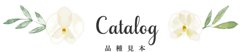 Catalog-カタログ