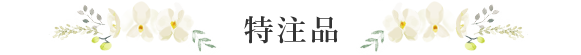 特注品