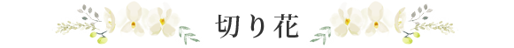 切り花