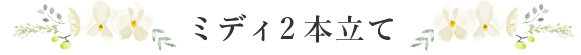 ミディ2本立て
