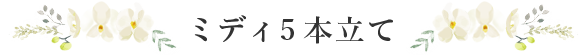 ミディ5本立て