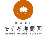 株式会社モテギ洋蘭園