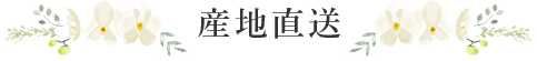 産地直送