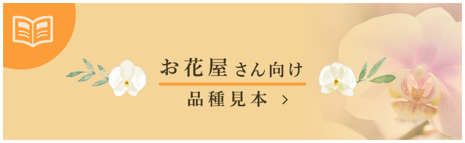 お花屋さん向け品種見本